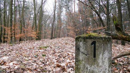 Willkommen an der Friedhofsbahn: Sie führte bis zum Mauerbau von Wannsee zum Südwestkirchhof in Stahnsdorf. Länge: 4 Kilometer. Wer stadtauswärts rechts aus dem Regionalexpress schaut, dem dürfte eventuell auffallen, dass plötzlich eine Böschung sich erhebt - das war die Trasse für die S-Bahn, die dann in den Wald hinein fuhr. Die Trasse ist auch heute noch gut zu erkennen, auch unter Laub und Moos. 