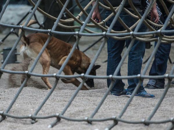Ein Drogenspürhund sucht im Mai 2017 einen Spielplatz am Kottbusser Tor in Berlin-Kreuzberg ab - und wird fündig.