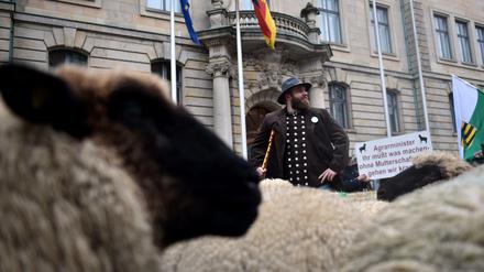 Schäfer und Schafe protestieren vor dem Bundesministerium für Ernährung und Landwirtschaft für den Erhalt ihres Berufes.