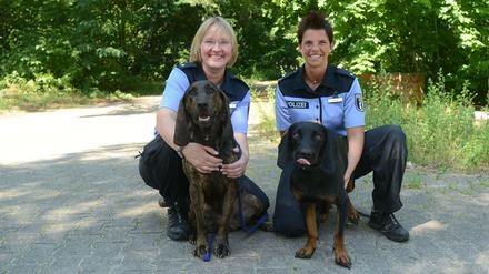 Der Nase nach. Lotte und Benji sind Personenspürhunde im Dienste der Polizei. 