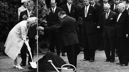 Königliche Gartenarbeit. Drei Schaufeln Erde schippte Elizabeth II. am 27. Mai 1965 ins Pflanzloch.