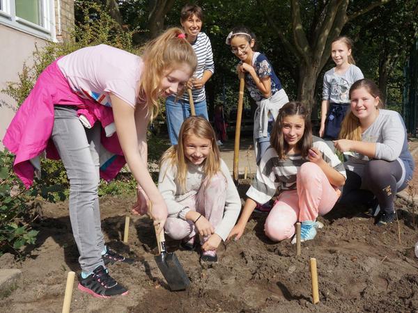 Schülerinnen der Erwin-von-Witzleben-Grundschule pflegen den Vorgarten der Schule. 