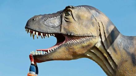 So sah er aus. Der riesige Raubsaurier, dessen Skelett ab Dezember im Naturkundemuseum zu sehen sein soll. Das Foto zeigt eine plastische Nachbildung. 
