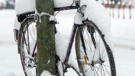 Ist die Schneedecke zu dick, müssen Fahrräder im Zweifel stehen bleiben. Grundsätzlich ist aber auch im Winter Radeln möglich - wenn man einige Vorkehrungen trifft.