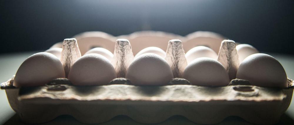 Auch in Berlin sind Fipronil-Eier aufgetaucht. Es sind noch elf weitere Bundesländer betroffen.