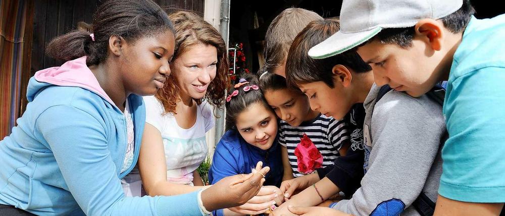 Auf Entdeckungstour. Susanne Löhlein beim Ausflug mit ihrer Spandauer Schulklasse auf dem Kinderbauernhof in Lübars. 