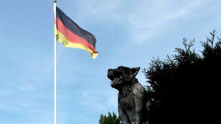 Hund und Flagge in Malchow.