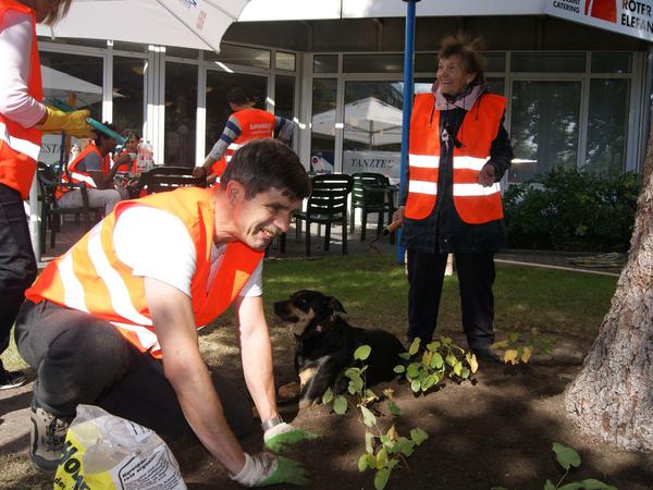 Senioren und Flüchtlinge setzten auch neue Pflanzen im Innenhof des Bürgerzentrums 