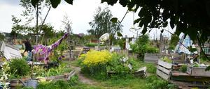 Der Stadtteilgarten Schillerkiez: Hier pflanzen Anwohner in Blumen, Gemüse, Kräuter und eine Idee von besserer Nachbarschaft.  