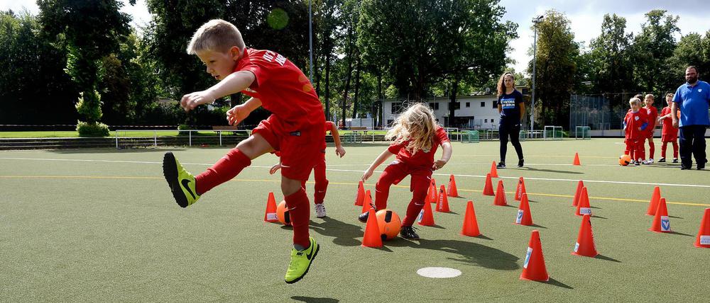 Jugendspieler trainieren im Stadion Lichterfelde.  