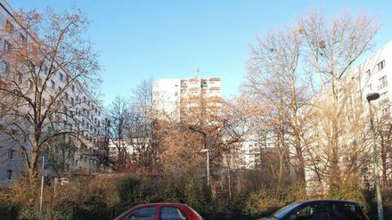 Auf diesem Grundstück in der Krautstraße will die WBM einen Wohnturm errichten, daneben ein weiteres Hochhaus.