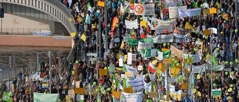 Teilnehmer einer Demonstration ziehen am 22.01.11 in Berlin unter dem Motto "Wir haben es satt! - Nein zu Gentechnik, Tierfabriken und Dumping-Exporten" durch das Regierungsviertel. 