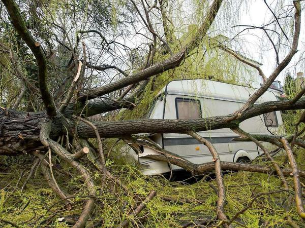 Ein umgestürzter Baum hat in Berlin-Tempelhof einen Wohnwagen unter sich begraben.
