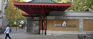 Der Berliner Zoo ist ein beliebtes Ausflugsziel. 