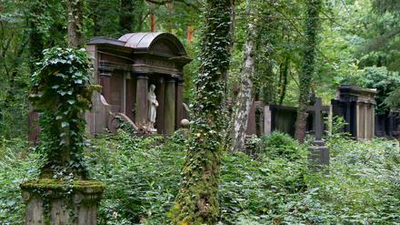 Überwucherte Grabstätten; fotografiert auf dem Südwestkirchhof Stahnsdorf südlich von Berlin - für die Aktion "Saubere Sache".