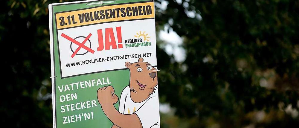 Der "Berliner Energietisch" will ein landeseigenes Stadtwerk mit landeseigenem Stromnetz. Am Sonntag stimmen die Bürgerinnen und Bürger darüber ab.