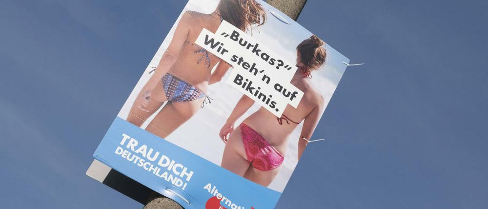 Umstritten: Ein Wahlplakat der AfD zur Bundestagswahl (Symbolbild).