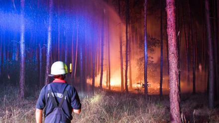 Die Feuerwehr versucht einen brennenden Wald nahe Klausdorf zu löschen.