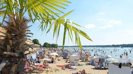 Die Palmen wachsen nicht in den Himmel. Nicht nur am Strandbad Wannsee blieben in dieser Saison die Gäste aus.