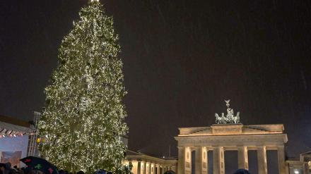 Vor zwei Jahren erstrahlte der Weihnachtsbaum aus Norwegen noch vor dem Brandenburger Tor.