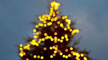 Preußens Glanz. Früher kam der Weihnachtsbaum fürs Abgeordnetenhaus aus Österreich. Jetzt wird er in Berlin gefällt.