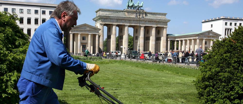 In Berlin darf Wiese noch wild sein. Nur selten kommt der Rasenmäher zum Einsatz - denn den Bezirken mangelt es an Angestellten.