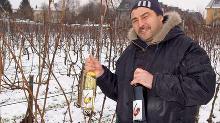 Kaltgetränke. Viktor Sucksdorf kümmert sich rund ums Jahr um den Weingarten am Britzer Koppelweg.