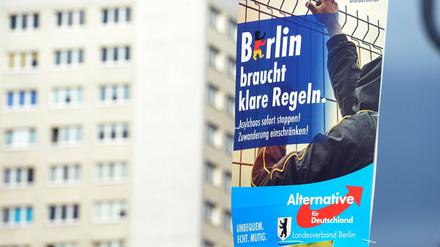 Die Wahlplakate der AfD in Berlin.