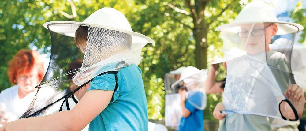 Kleine Imker. Kinder aus der Marzahner Marcana-Schule ziehen bei der Bienenlehrstunde im Freilandlabor Marzahn Schutzhauben an. 