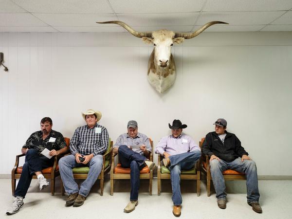 Cowboys, 2016. Boots oder Sneakers, Basecap oder Stetson, heute geht alles nebeneinander. Viehzüchter im kleinen Ort Philip warten auf den Beginn ihrer Auktion. 
