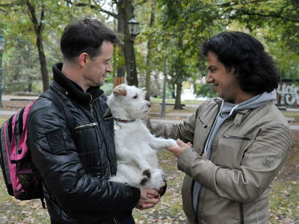 Bekanntschaft. Abdolrahman Omaren trifft im Tiergarten in Berlin Mischlingshündin Luba. 