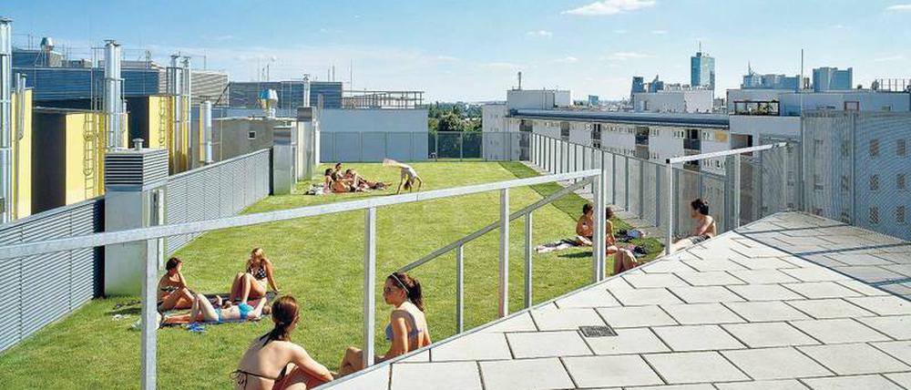 Auf dem Dach der "Bremer Stadtmusikanten" von Artec-Architekten treffen sich die Bewohner auf der Liegewiese des Pools. 
