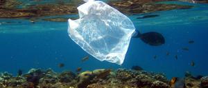 Plastiktüten im Meer