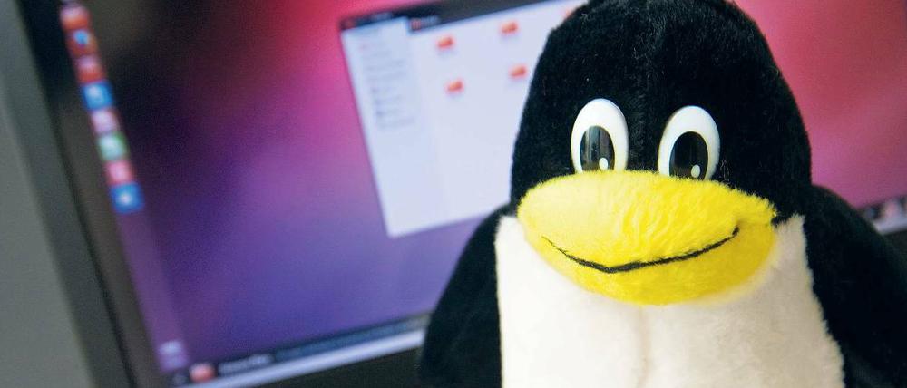 Das niedliche Maskottchen mit dem Namen Tux täuscht leicht darüber hinweg, dass Linux nicht zuletzt aus Sicherheitsgründen eine ernsthafte Alternative zu Windows sein kann. Vom 8. bis zum 10. Mai findet in Berlin der Linux-Tag 2014 statt. Foto: pa/dpa