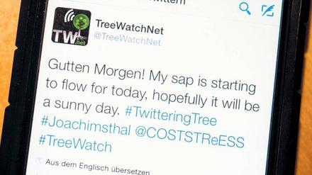 News überall: Selbst Bäume twittern inzwischen ihr Befinden. 