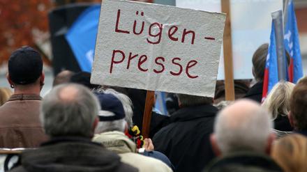 Anhänger der Alternative für Deutschland (AfD) demonstrieren gegen die deutsche Asylpolitik, auf einem Schild steht "Lügenpresse".