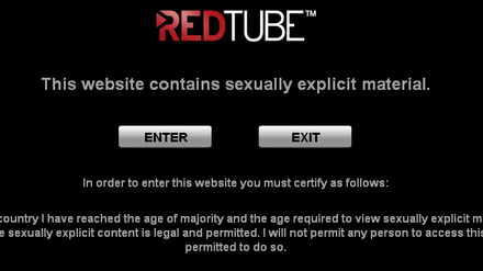 Die Porno-Website Redtube. 
