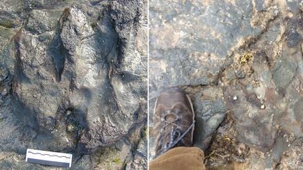 Der Dinosaurier-Fußabdruck vor (links) und nach der Zerstörung