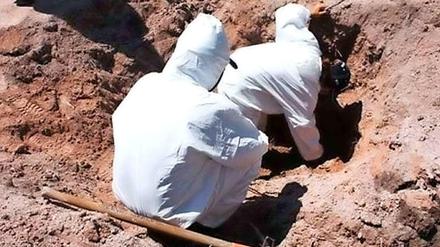 In Mexiko sind mindestens 19 Leichen in einer Schlucht gefunden worden. Beamte durchsuchen weiter den Fundort. 