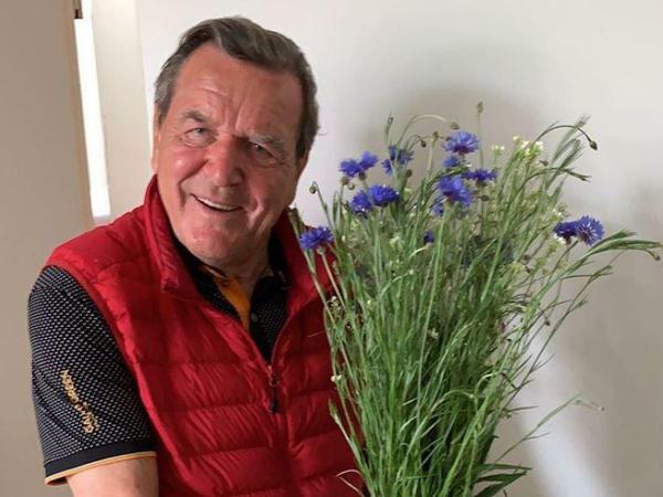 Pflückt seiner Frau Blumen: Gerhard Schröder