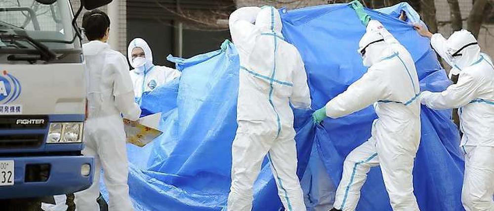 Sichtgeschützt hinter einer blauen Plane werden die verstrahlten Arbeiter aus dem AKW Fukushima Eins ins Krankenhaus geführt. Sie waren in radioaktiv-verseuchtes Wasser getreten.