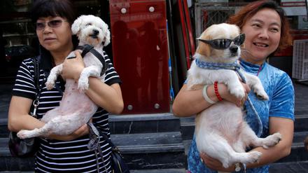 Gerettet: Zwei chinesische Tierschützer halten stolz ihre Hunde in die Kamera. Ein Tier (rechts) haben sie einem Hundefleischhändler abgenommen, das andere fanden sie auf der Straße. 