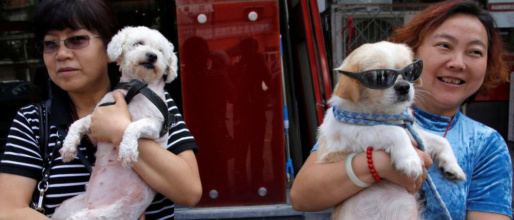 Gerettet: Zwei chinesische Tierschützer halten stolz ihre Hunde in die Kamera. Ein Tier (rechts) haben sie einem Hundefleischhändler abgenommen, das andere fanden sie auf der Straße. 