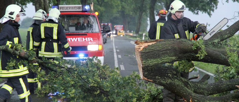 Einsatzkräfte der Feuerwehr räumen nahe Röbel/Müritz einen bei einem Unwetter umgestürzten Baum von der Fahrbahn.
