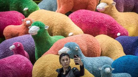 Eine Frau in China macht ein Selfie vor einer Kulisse bunter Plastik-Schafe in einem Einkaufszentrum. In China sieht man dem "Jahr des Schafes", welches am Donnerstag beginnt, mit vielen Sorgen entgegen.