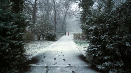 Der erste Schnee dieses Winters im Schlosspark Schönhausen am 22.11.2015 in Berlin.