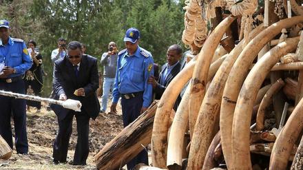 Äthiopien hat vor wenigen Tagen Stoßzähne verbrannt, die zuvor beschlagnahmt worden waren. Wenigen Wochen zuvor hat Kenia das gleiche getan. Einige europäische Staaten haben ebenfalls ihre Elfenbeinvorräte vernichtet. 