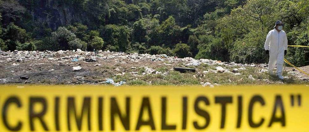 Ein abgesperrtes Waldstück in Mexiko. Nach den vermissten 43 Studenten wurde lange gesucht. 