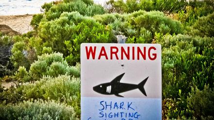 In Australien könnten bald Drohnen vor Haien warnen.