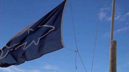 Ein "Shark Spotter" in Südafrika hisst die blau-weiße Flagge mit einem Hai-Symbol darauf. Jetzt heißt es raus aus dem Wasser.